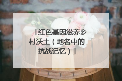 红色基因滋养乡村沃土（地名中的抗战记忆）
