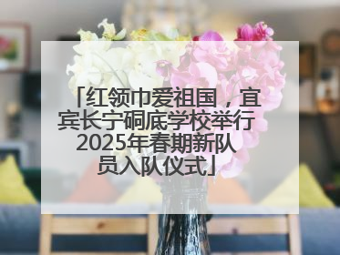 红领巾爱祖国，宜宾长宁硐底学校举行2025年春期新队员入队仪式