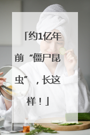 约1亿年前“僵尸昆虫”，长这样！