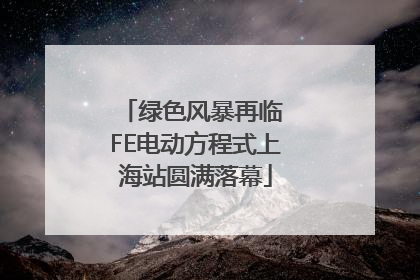 绿色风暴再临 FE电动方程式上海站圆满落幕
