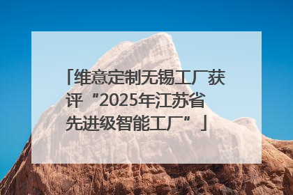 维意定制无锡工厂获评“2025年江苏省先进级智能工厂”