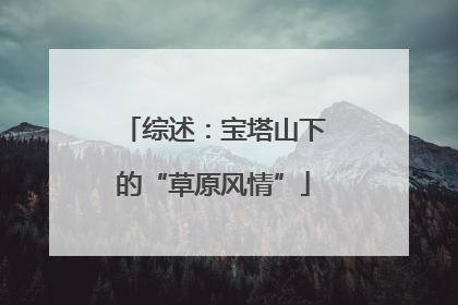 综述：宝塔山下的“草原风情”