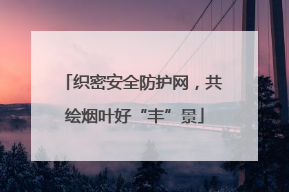 织密安全防护网，共绘烟叶好“丰”景