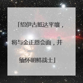 绍伊古抵达平壤，将与金正恩会面，并缅怀朝鲜战士