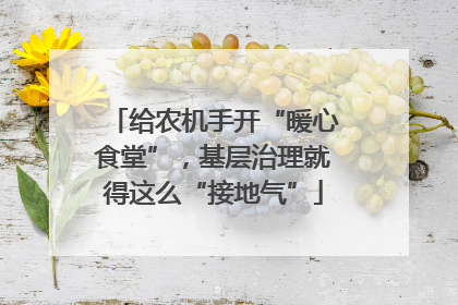 给农机手开“暖心食堂”，基层治理就得这么“接地气”