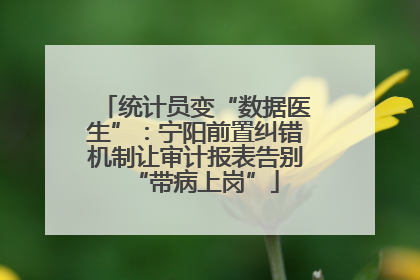 统计员变“数据医生”：宁阳前置纠错机制让审计报表告别“带病上岗”