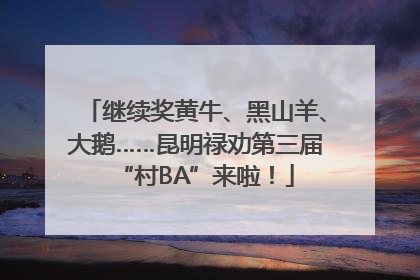 继续奖黄牛、黑山羊、大鹅……昆明禄劝第三届“村BA”来啦！