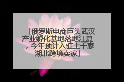 俄罗斯电商巨头武汉产业孵化基地落地江夏，今年预计入驻上千家湖北跨境卖家