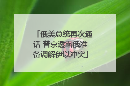 俄美总统再次通话 普京透露俄准备调解伊以冲突