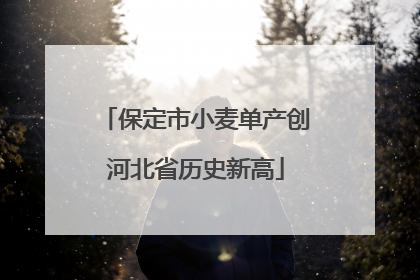 保定市小麦单产创河北省历史新高