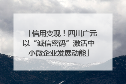 信用变现！四川广元以“诚信密码”激活中小微企业发展动能
