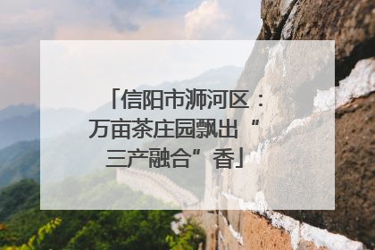 信阳市浉河区：万亩茶庄园飘出“三产融合”香