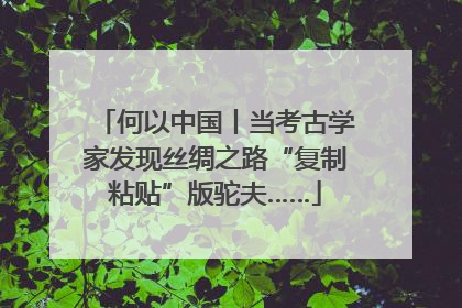 何以中国丨当考古学家发现丝绸之路“复制粘贴”版驼夫……