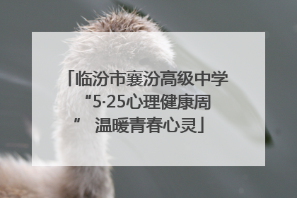 临汾市襄汾高级中学“5·25心理健康周” 温暖青春心灵