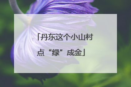 丹东这个小山村点“绿”成金