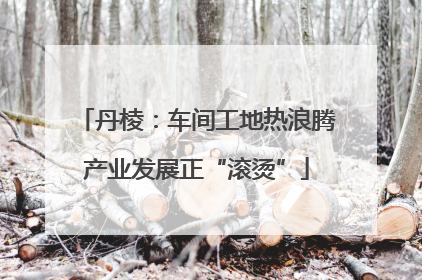 丹棱：车间工地热浪腾产业发展正“滚烫”