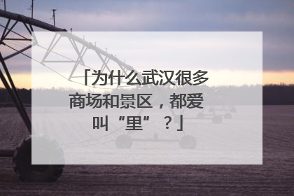 为什么武汉很多商场和景区，都爱叫“里”？