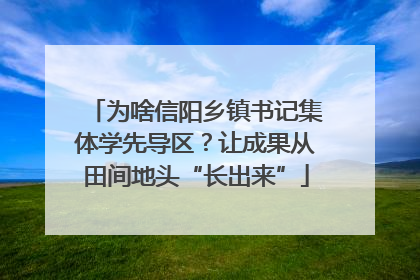 为啥信阳乡镇书记集体学先导区？让成果从田间地头“长出来”