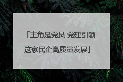 主角是党员 党建引领这家民企高质量发展