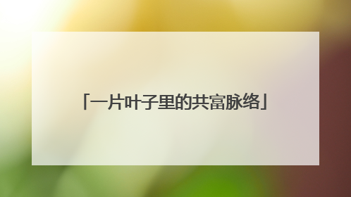 一片叶子里的共富脉络