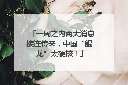 一周之内两大消息接连传来，中国“鲲龙”太硬核！
