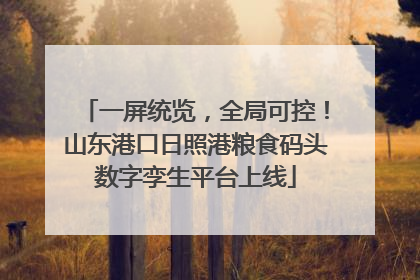一屏统览，全局可控！山东港口日照港粮食码头数字孪生平台上线