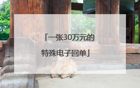 一张30万元的特殊电子回单