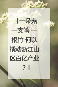 一朵菇 一支笔 一根竹 何以撬动浙江山区百亿产业？