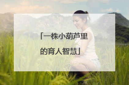 一株小葫芦里的育人智慧
