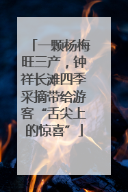 一颗杨梅旺三产，钟祥长滩四季采摘带给游客“舌尖上的惊喜”