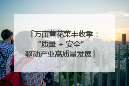 万亩黄花菜丰收季：“质量 + 安全” 驱动产业高质量发展