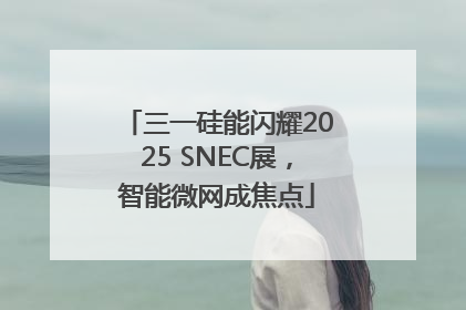 三一硅能闪耀2025 SNEC展，智能微网成焦点