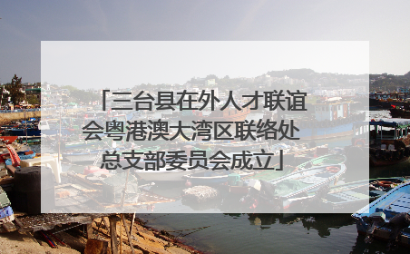 三台县在外人才联谊会粤港澳大湾区联络处总支部委员会成立