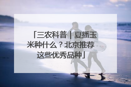 三农科普｜夏播玉米种什么？北京推荐这些优秀品种