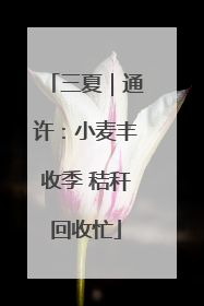 三夏｜通许：小麦丰收季 秸秆回收忙