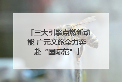 三大引擎点燃新动能 广元文旅全力奔赴“国际范”