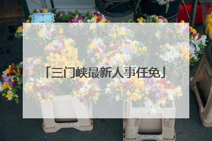 三门峡最新人事任免