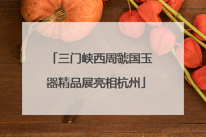 三门峡西周虢国玉器精品展亮相杭州