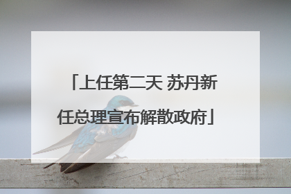 上任第二天 苏丹新任总理宣布解散政府