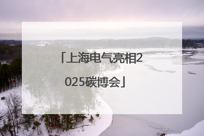 上海电气亮相2025碳博会