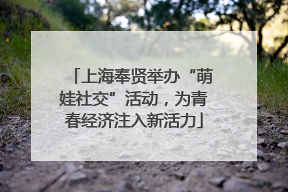 上海奉贤举办“萌娃社交”活动，为青春经济注入新活力