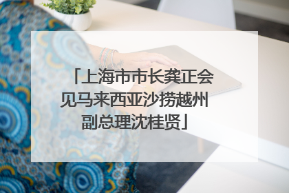 上海市市长龚正会见马来西亚沙捞越州副总理沈桂贤