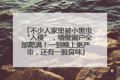 不少人家里被小黑虫“入侵”，墙壁窗户全部爬满！一到晚上更严重，还有一股臭味