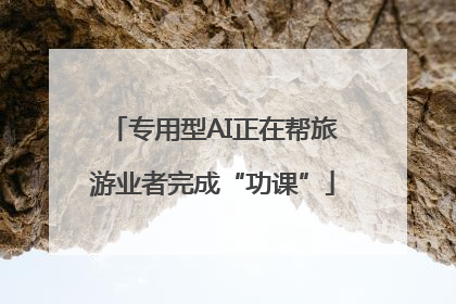 专用型AI正在帮旅游业者完成“功课”