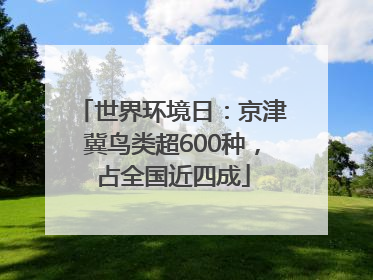 世界环境日：京津冀鸟类超600种，占全国近四成
