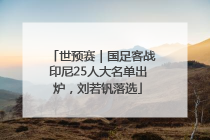 世预赛｜国足客战印尼25人大名单出炉，刘若钒落选