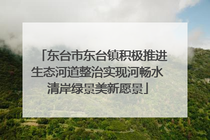 东台市东台镇积极推进生态河道整治实现河畅水清岸绿景美新愿景