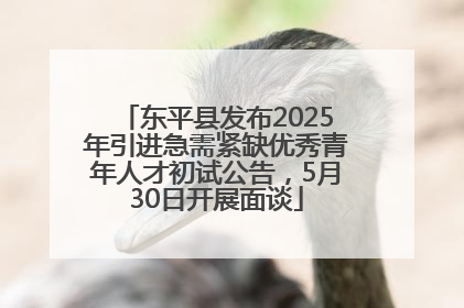 东平县发布2025年引进急需紧缺优秀青年人才初试公告，5月30日开展面谈