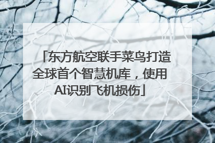 东方航空联手菜鸟打造全球首个智慧机库，使用AI识别飞机损伤