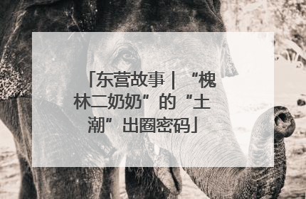 东营故事｜“槐林二奶奶”的“土潮”出圈密码